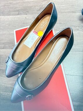 Coach Metallic Dark Teal Pointed Toe Flats with Logo Medallion
